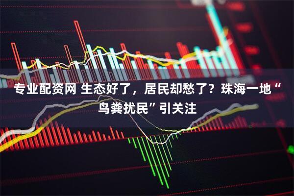 专业配资网 生态好了，居民却愁了？珠海一地“鸟粪扰民”引关注