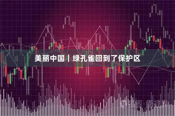 美丽中国｜绿孔雀回到了保护区