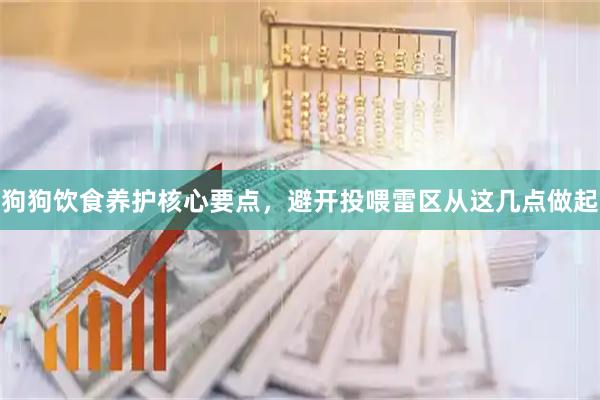 狗狗饮食养护核心要点，避开投喂雷区从这几点做起