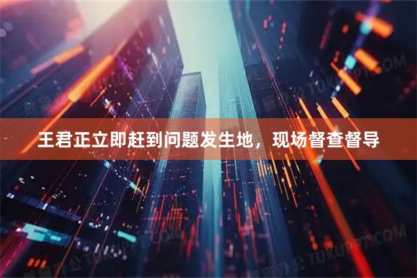 王君正立即赶到问题发生地，现场督查督导