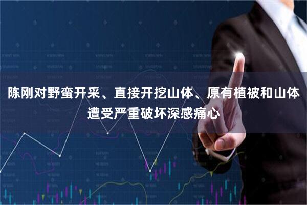 陈刚对野蛮开采、直接开挖山体、原有植被和山体遭受严重破坏深感痛心