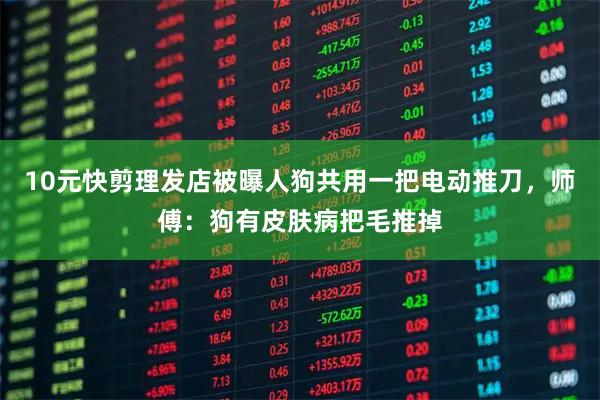 10元快剪理发店被曝人狗共用一把电动推刀，师傅：狗有皮肤病把毛推掉