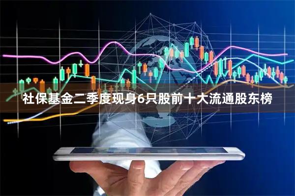 社保基金二季度现身6只股前十大流通股东榜