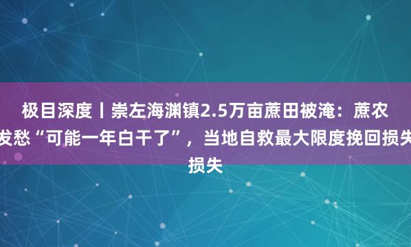 极目深度丨崇左海渊镇2.5万亩蔗田被淹：蔗农发愁“可能一年白干了”，当地自救最大限度挽回损失