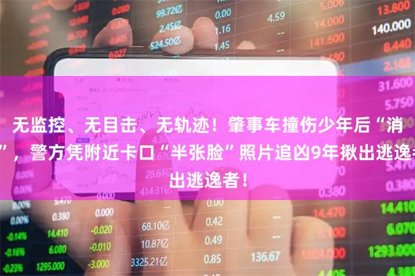 无监控、无目击、无轨迹！肇事车撞伤少年后“消失”，警方凭附近卡口“半张脸”照片追凶9年揪出逃逸者！